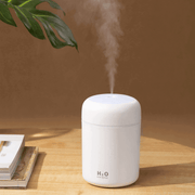 Mini Humidifier H2O