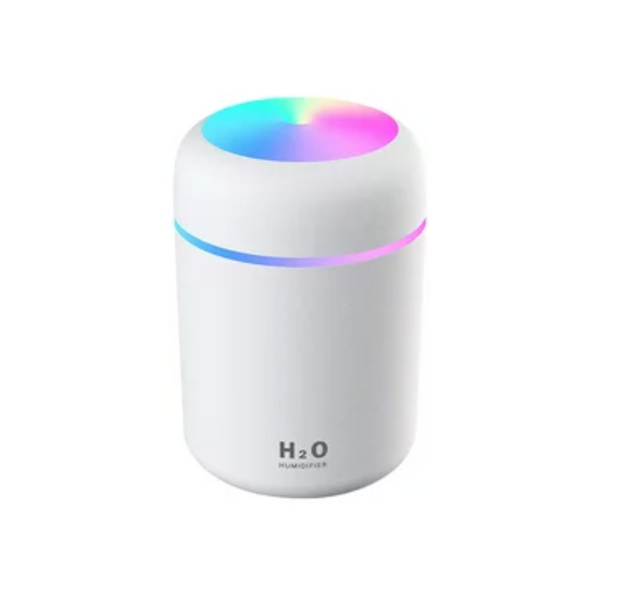 Mini Humidifier H2O